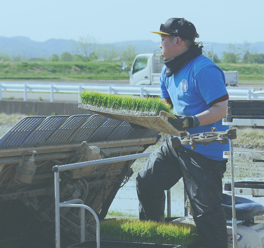 先輩社員インタビュー