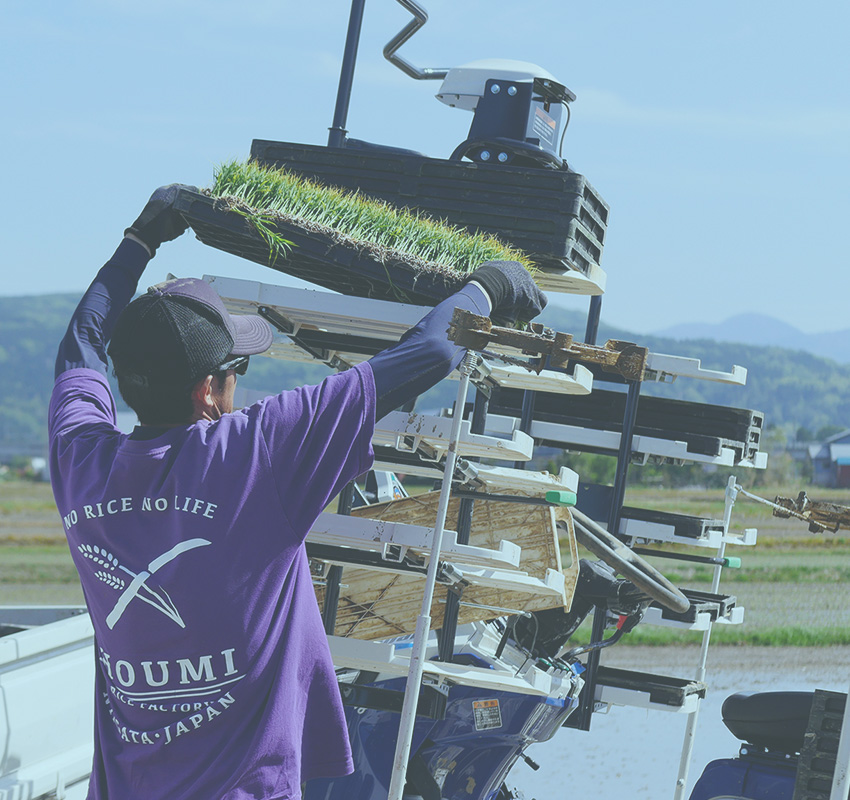 先輩社員インタビュー