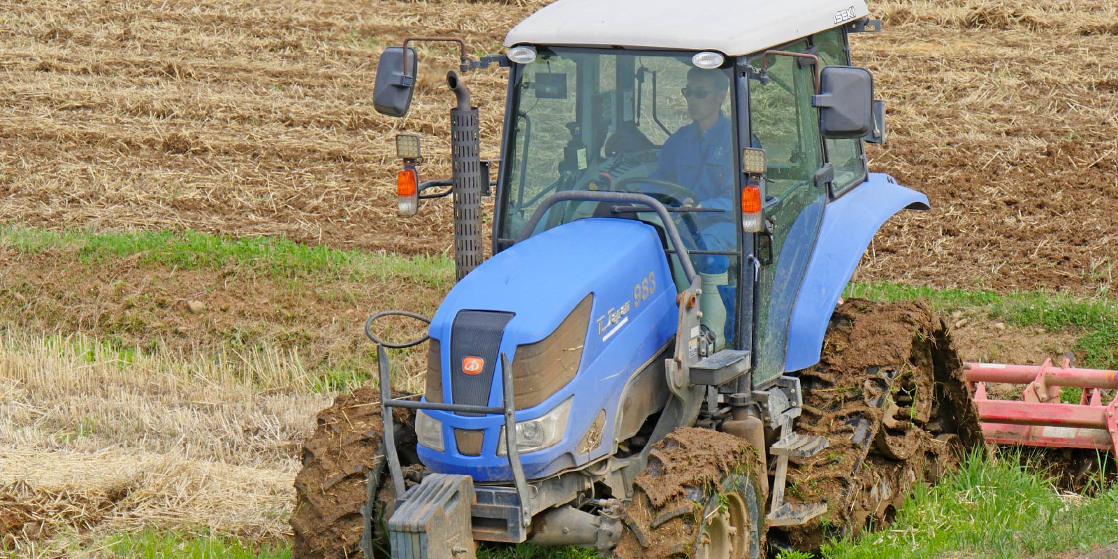 先輩社員インタビュー