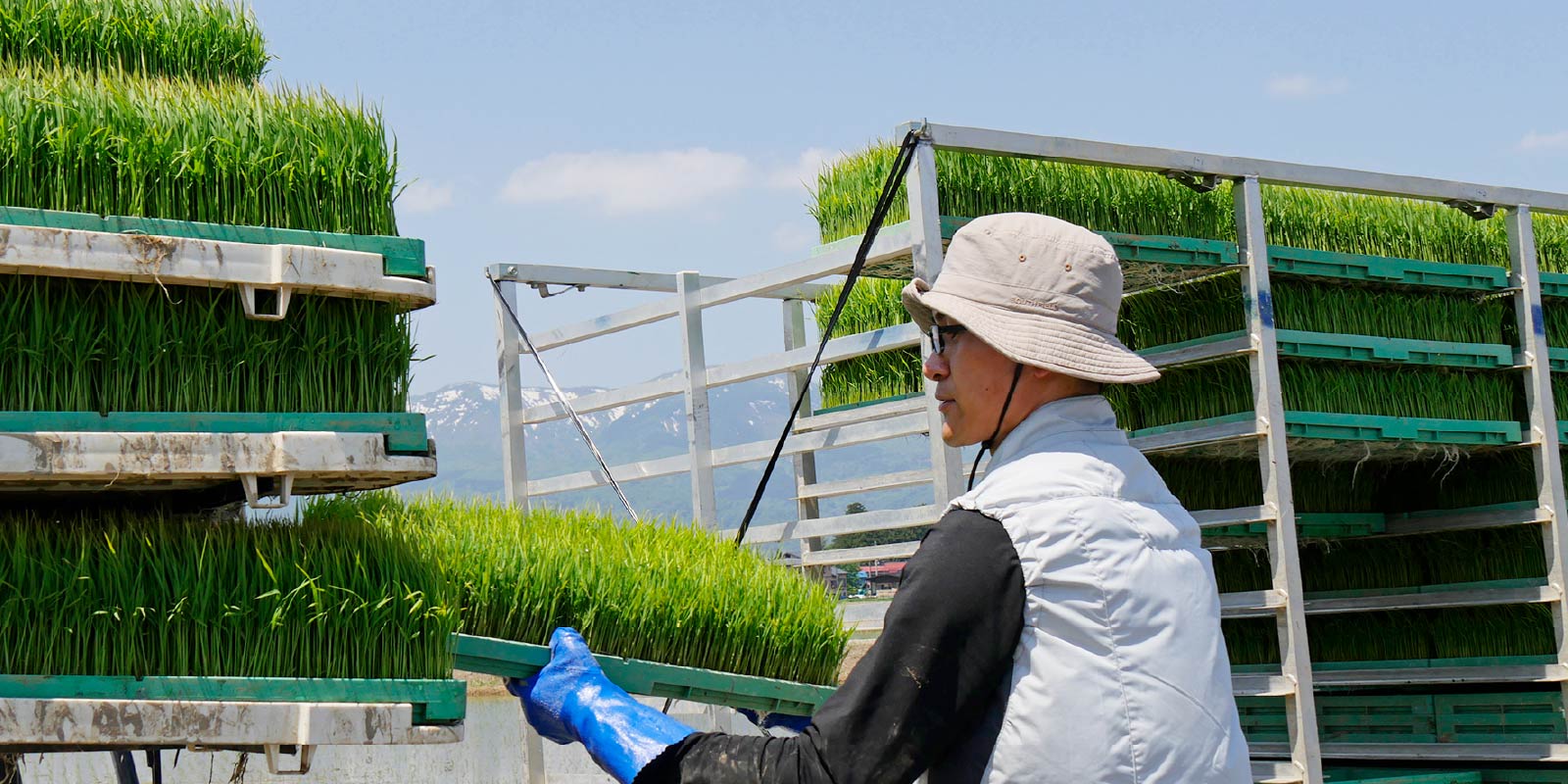 先輩社員インタビュー