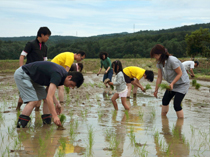 田植え体験