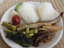 田植え体験